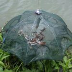 Trampa para peces y mojarras 8 bocas - Imagen 2