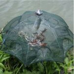 Trampa para peces y mojarras 12 bocas - Imagen 3